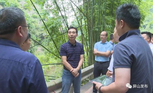 代軍深入龍華鎮調研指導，聚焦旅游項目開發新藍圖